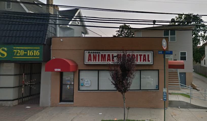Aadobe Animal Hospital