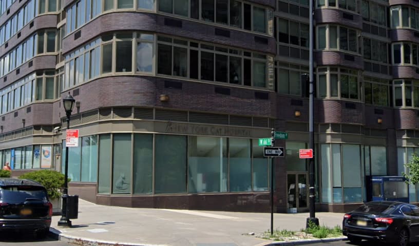 New York Cat Hospital