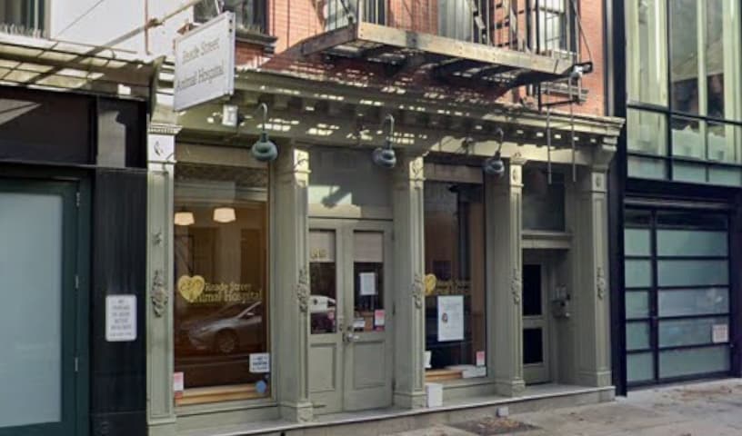 Reade Street Animal Hospital