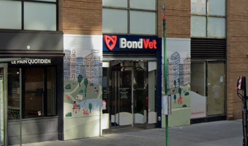 Bond Vet - Upper East Side at 86th Street