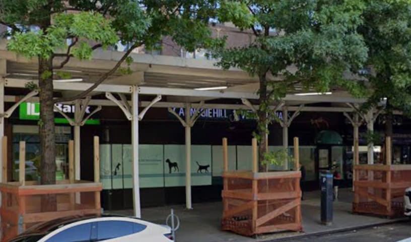 Carnegie Hill Veterinarians