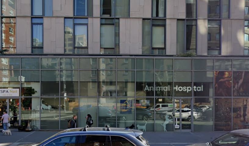 Tribeca Soho Animal Hospital