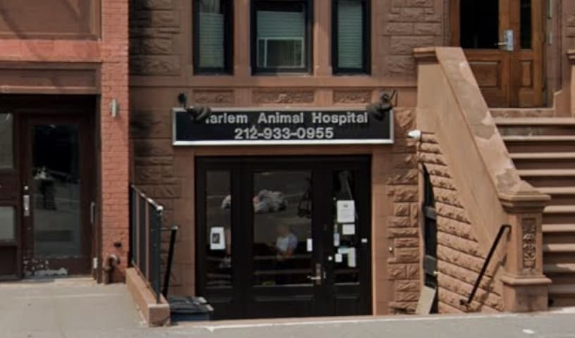 Harlem Animal Hospital