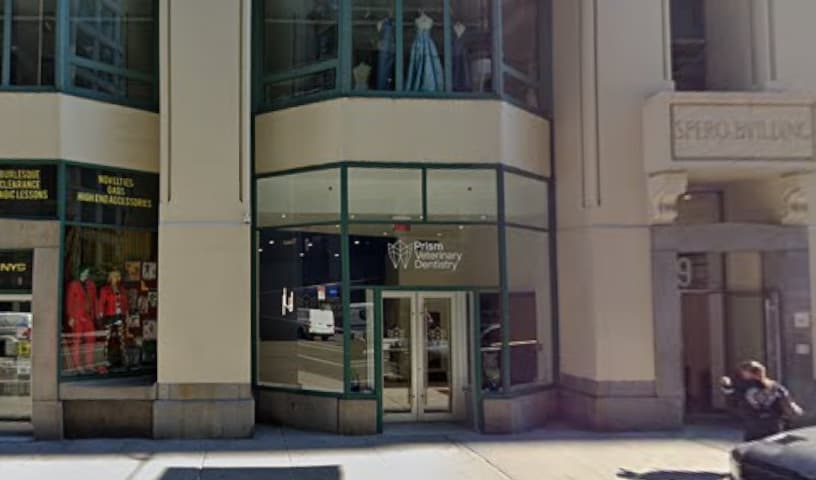 Prism Veterinary Dentistry