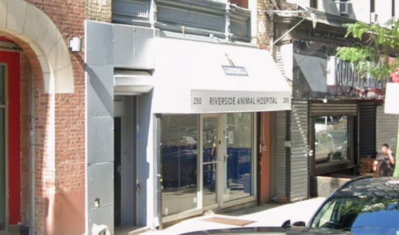 Riverside Animal Hospital North