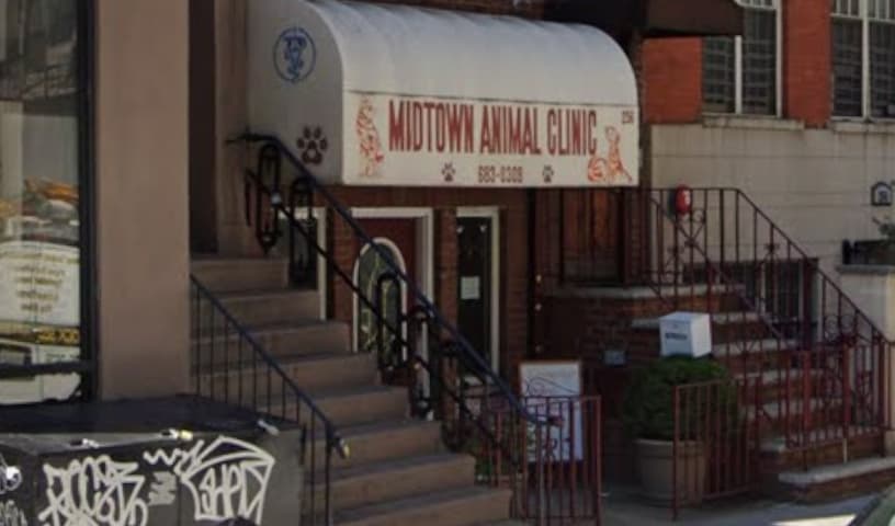 Midtown Animal Hospital