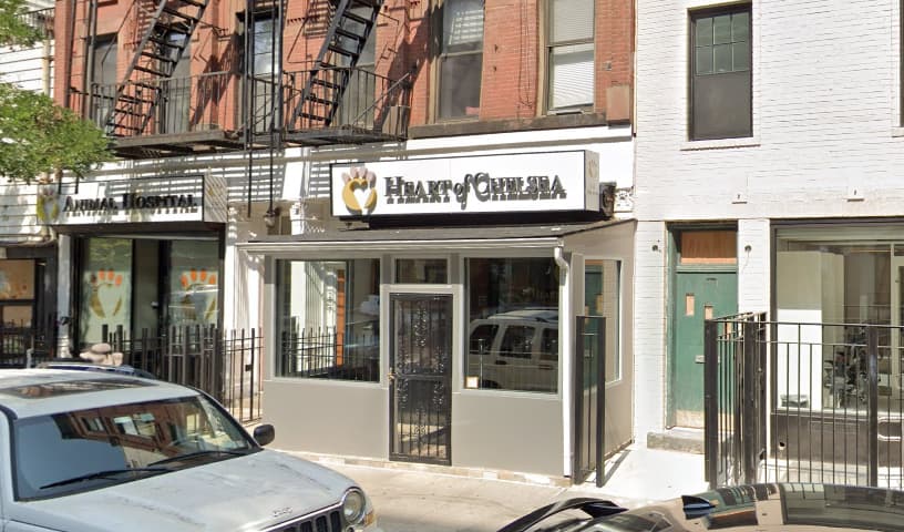 Heart of Chelsea Veterinary Group - Chelsea