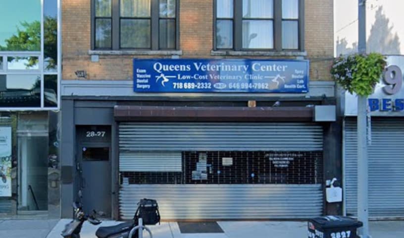 Queens Low Cost Veterinary Center