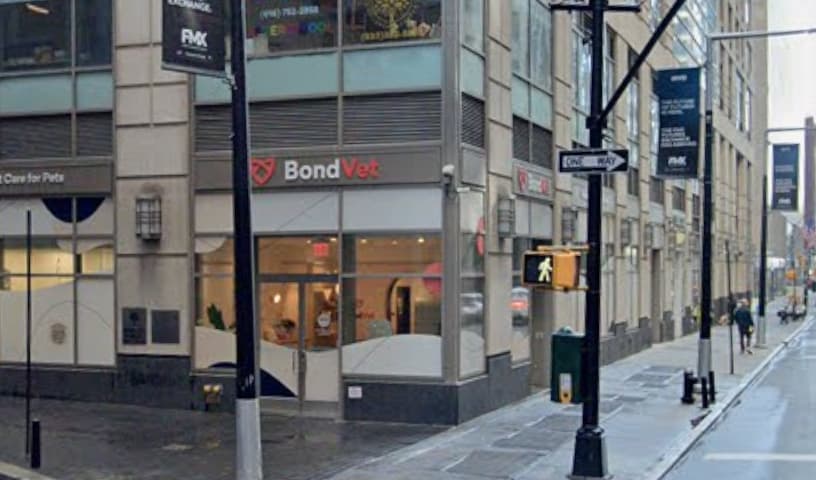 Bond Vet - Financial District