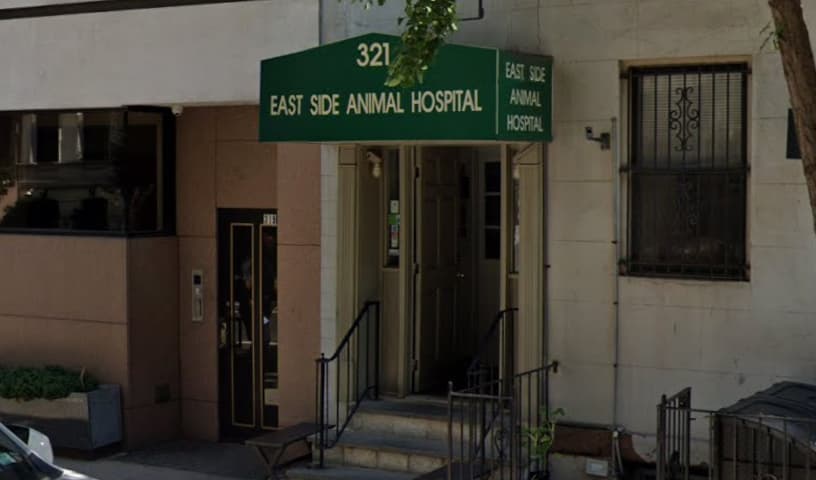 East Side Animal Hospital