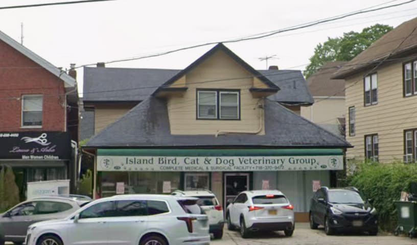 Island Bird Cat & Dog Veterinary Group