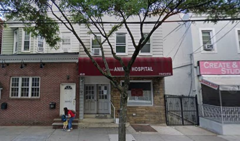 Queens Animal Hospital