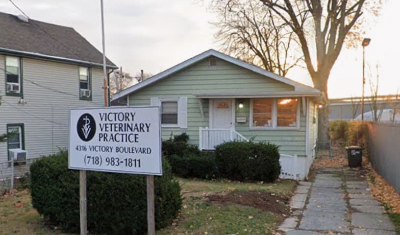 Victory Veterinary Practice
