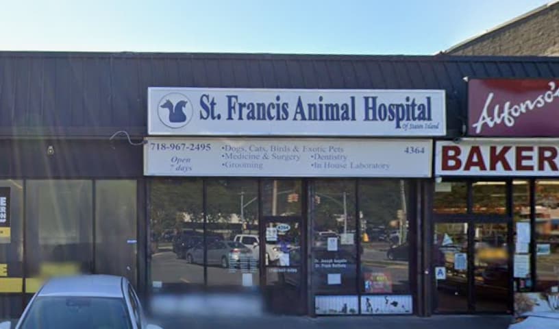 St Francis Animal Hospital