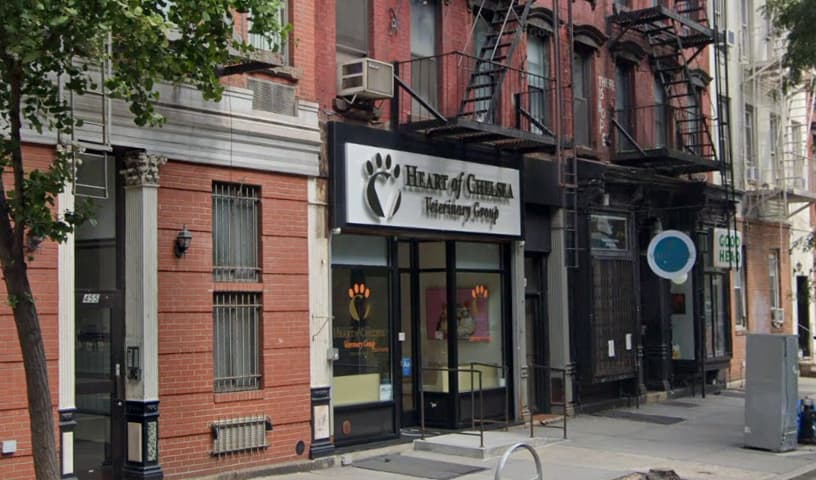 Heart of Chelsea Veterinary Group - Hell's Kitchen