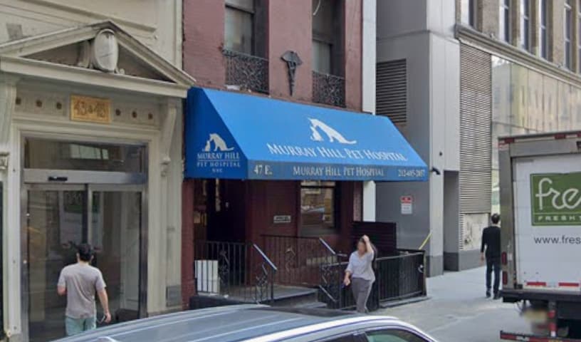 Murray Hill Pet Hospital