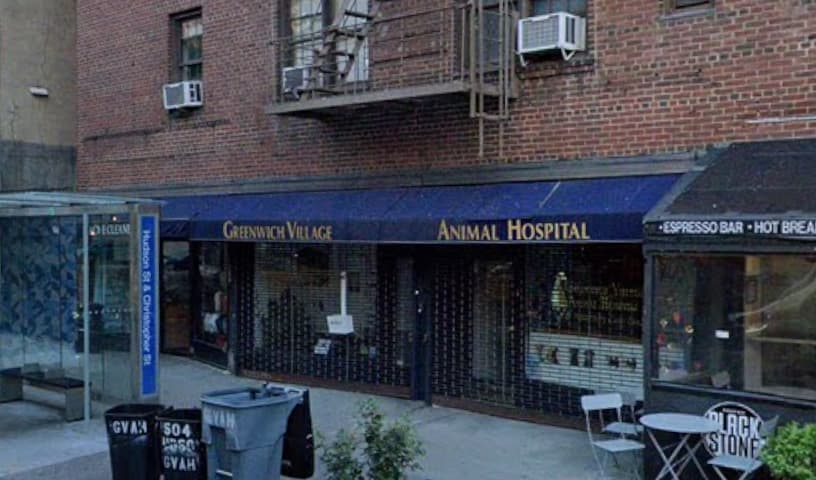 Greenwich Village Animal Hospital