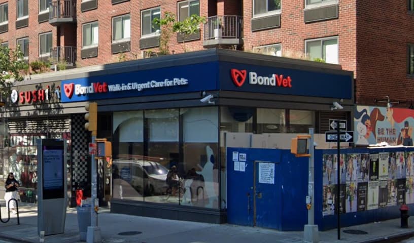 Bond Vet - Chelsea