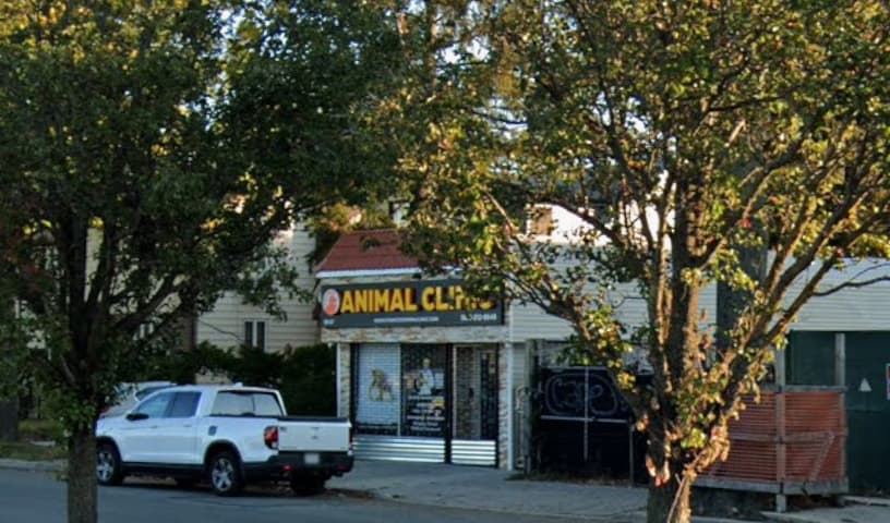 Francis Animal Clinic- Queens