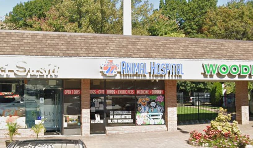 All Saints Animal Hospital