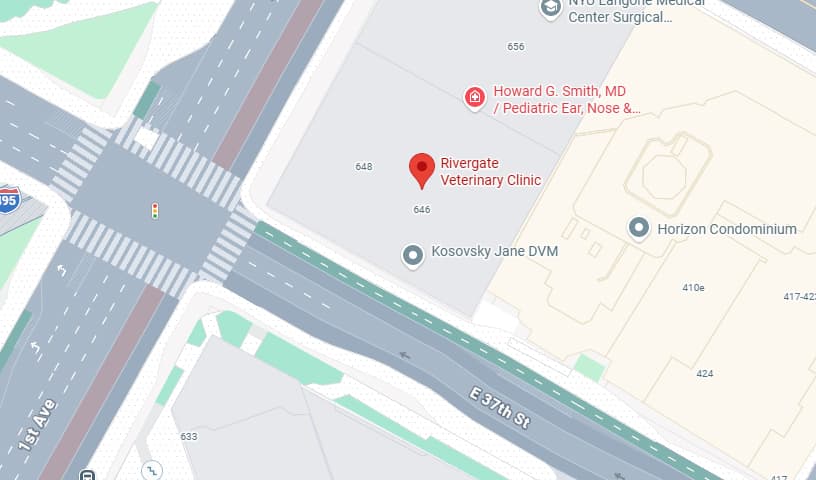 Rivergate Veterinary Clinic
