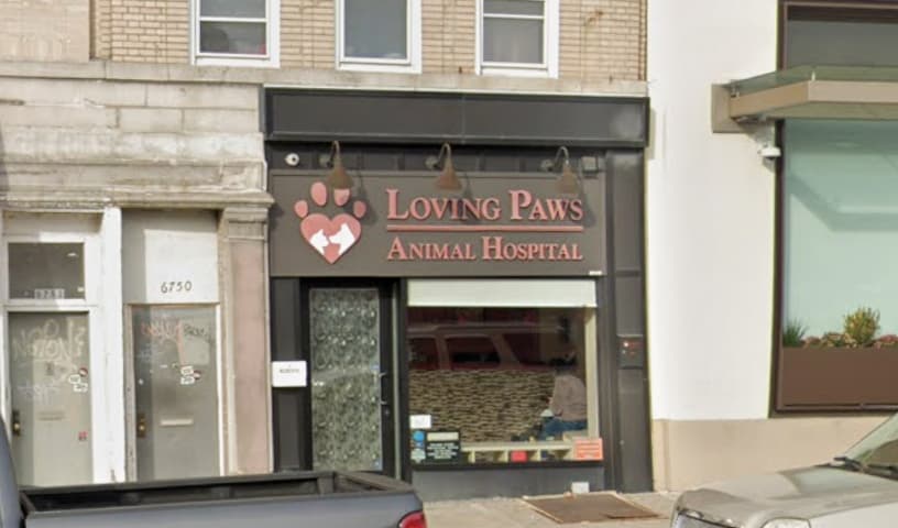 Loving Paws Animal Hospital