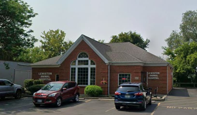 Lewiston Animal Hospital