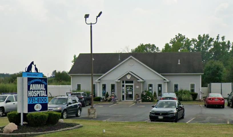 Companion Care Animal Hospital
