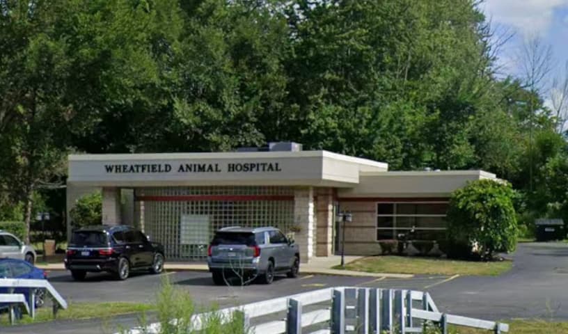 Wheatfield Animal Hospital