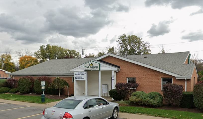 Pine Woods Animal Hospital