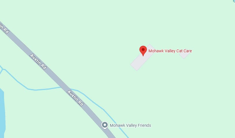 Mohawk Valley Cat Care