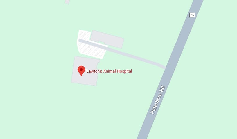 Lawton Animal Hospital