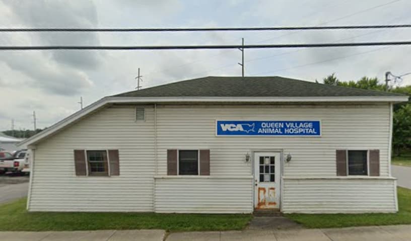 Queen Village Animal Hospital
