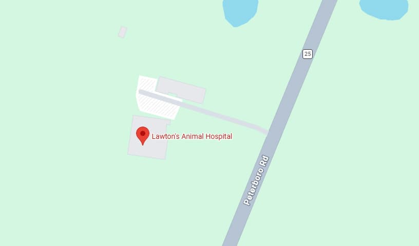 Lawton's Animal Hospital