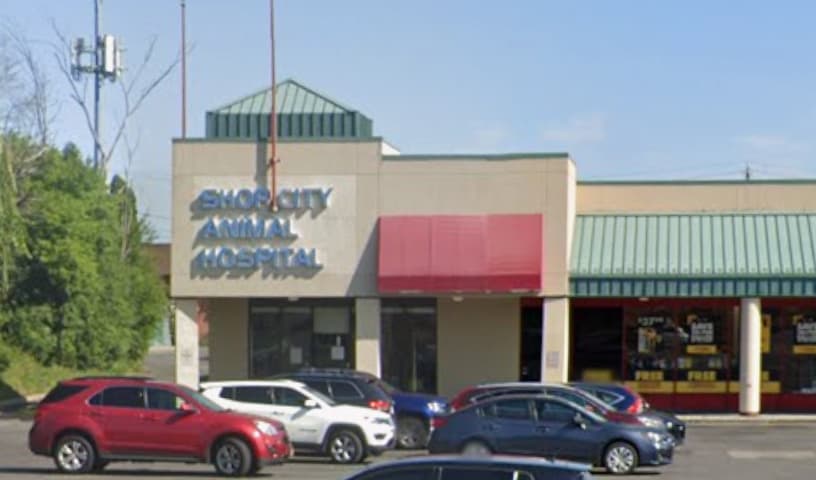 Shop City Animal Hospital