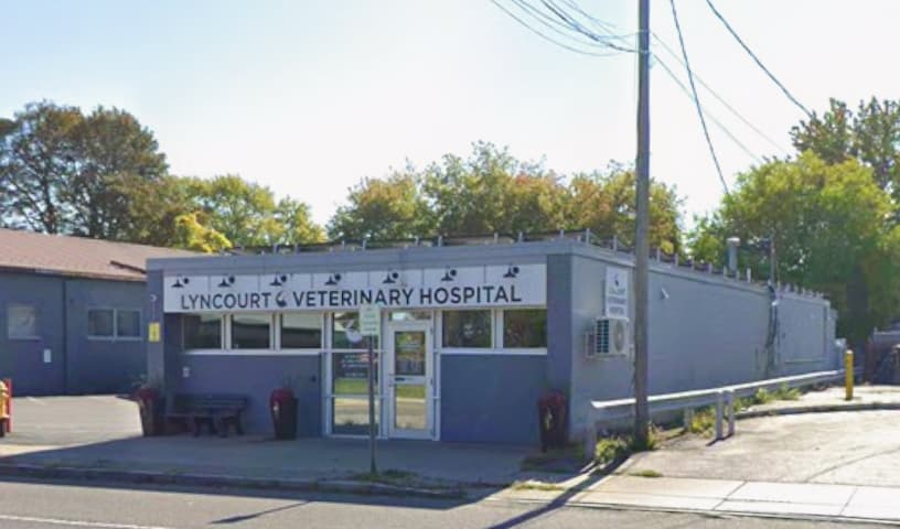 Lyncourt Veterinary Hospital
