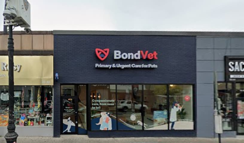 Bond Vet - Forest Hills
