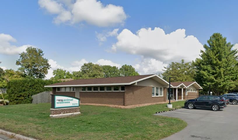 Liverpool Village Animal Wellness