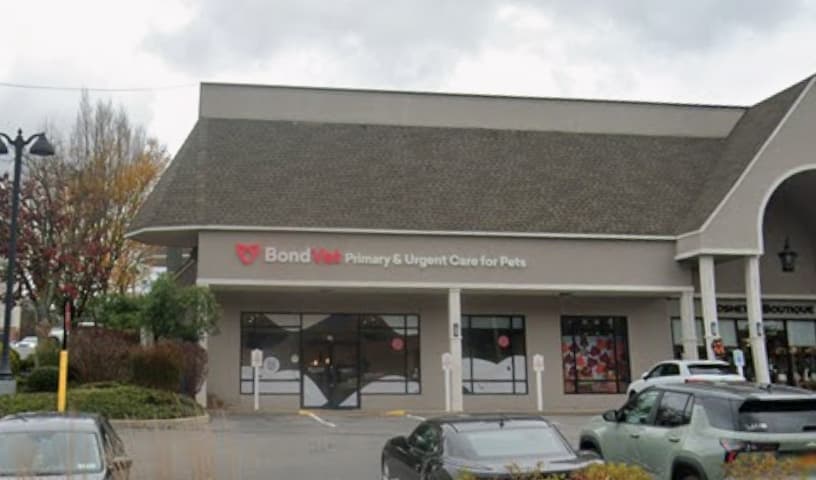 Bond Vet - Woodbury