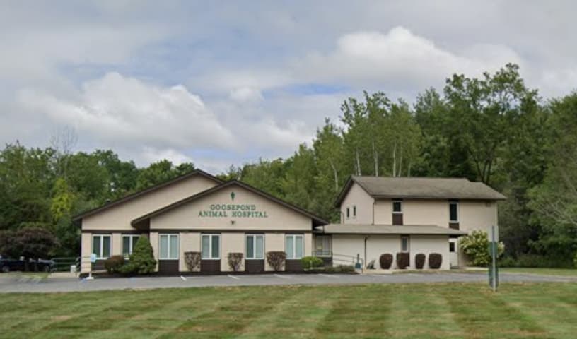 Goosepond Animal Hospital