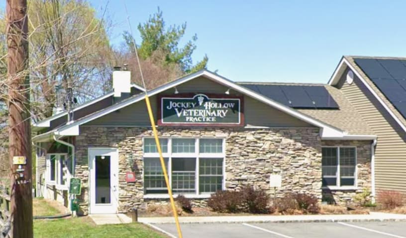 Jockey Hollow Veterinary Practice