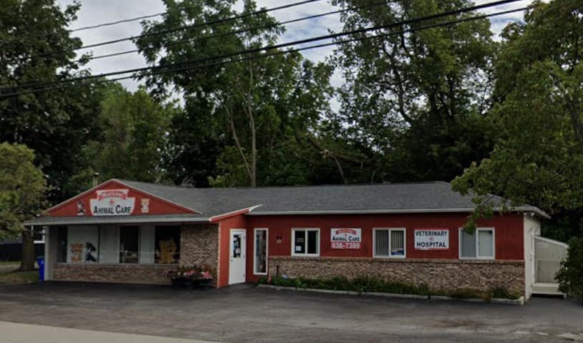 Wiley's Ark Animal Care