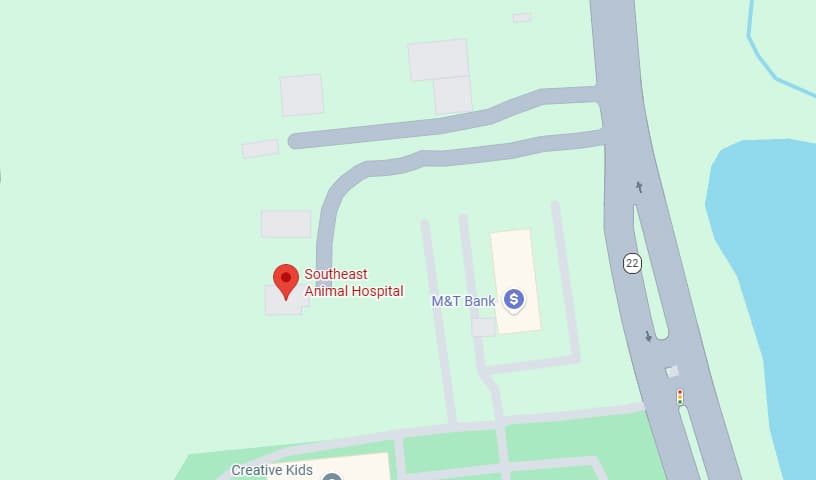 Southeast Animal Hospital
