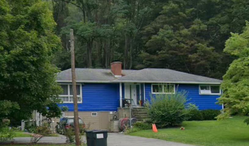 Animal Hospital of Cold Spring