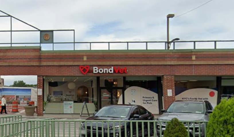Bond Vet - Bayside