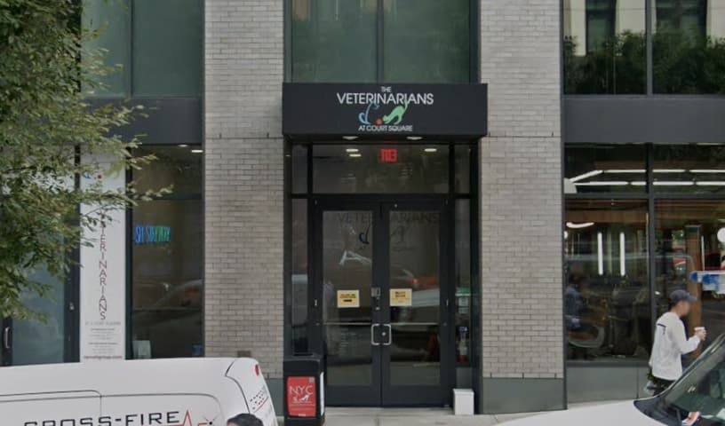 The Veterinarians at Court Square