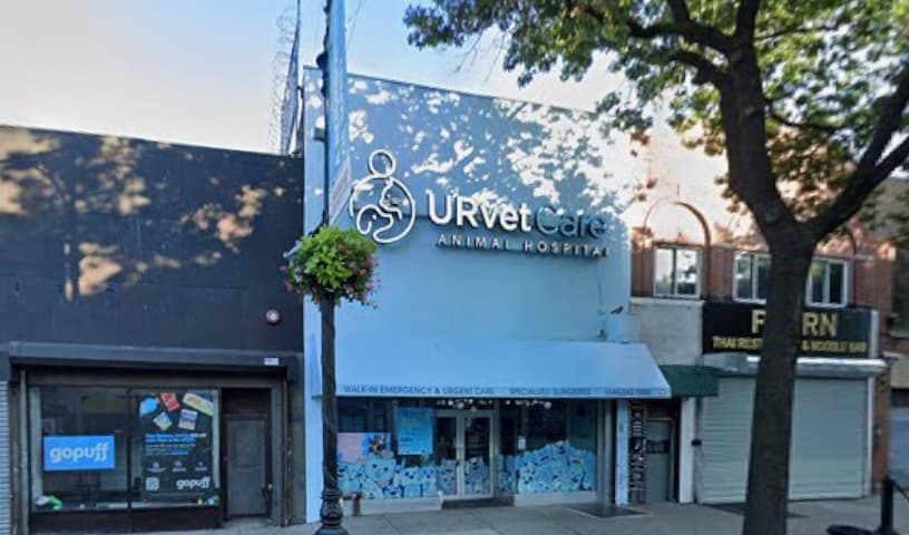 URvet Care Astoria