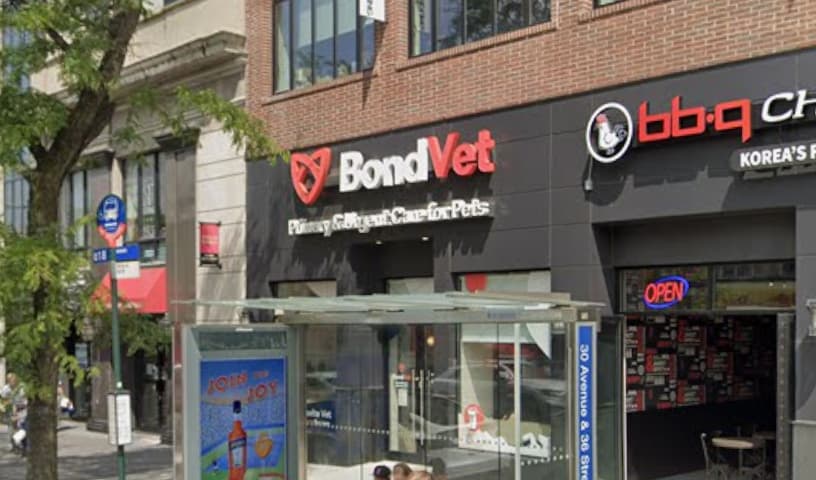 Bond Vet - Astoria
