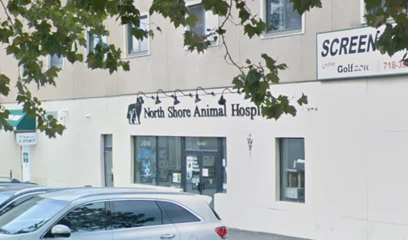 North Shore Animal Hospital