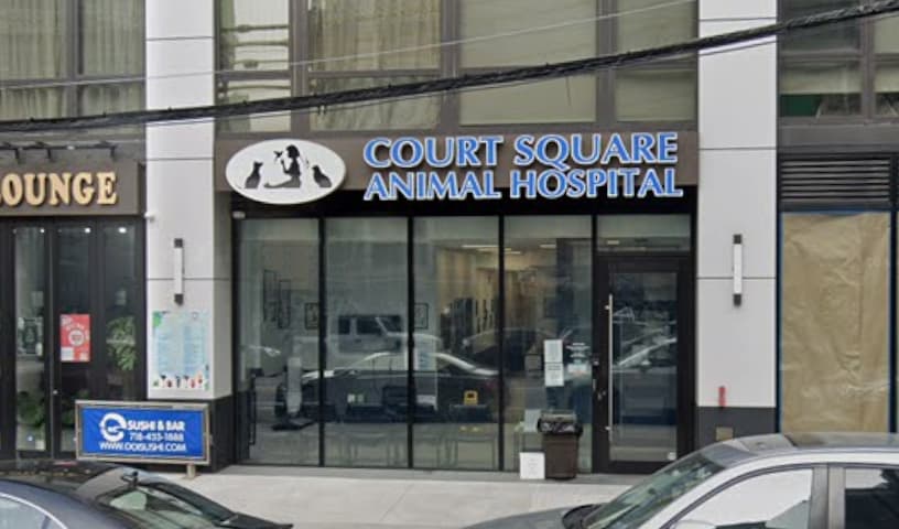 Court Square Animal Hospital